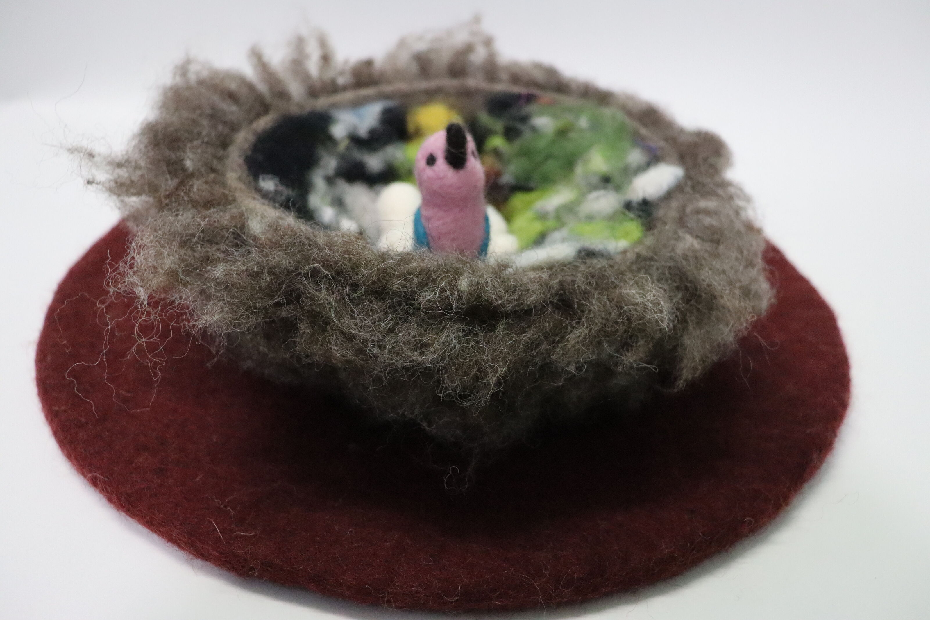 Bird's Nest with bird and eggs